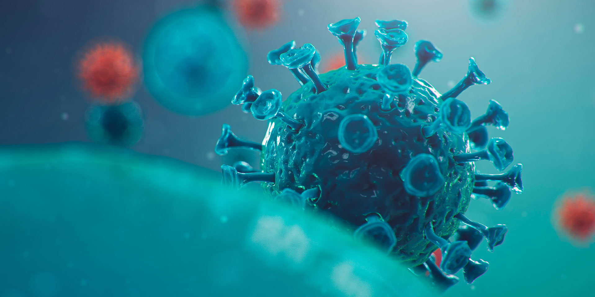 Lorem ipsum dolor sit amet, consectetuer adipiscing elit, sed diam nonummy nibh euismod tincidunt ut laoreet dolore magna aliquam erat volutpat.